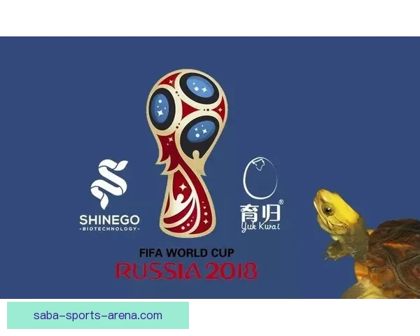 世界杯胜负预测分析全面指南助你精准竞猜投注技巧